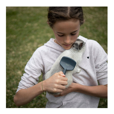Kazoo Slicker Brush for Small Animals