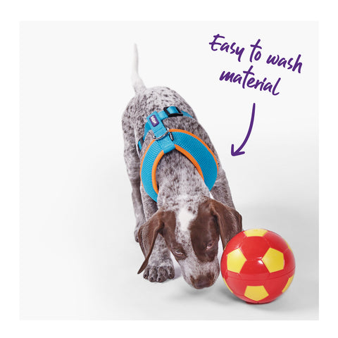 Kazoo Active Soft Walking Dog Harness Ocean Sunrise