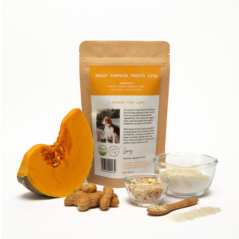 Larrykin Biscuits Roast Pumpkin Dog Treats 125g