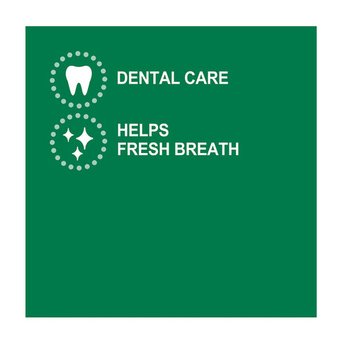 Greenies Fresh Regular Dental Dog Treat 340g
