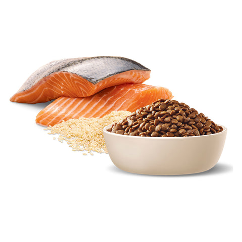 Advance Ocean Fish & Rice Adult Dry Cat Food 20kg