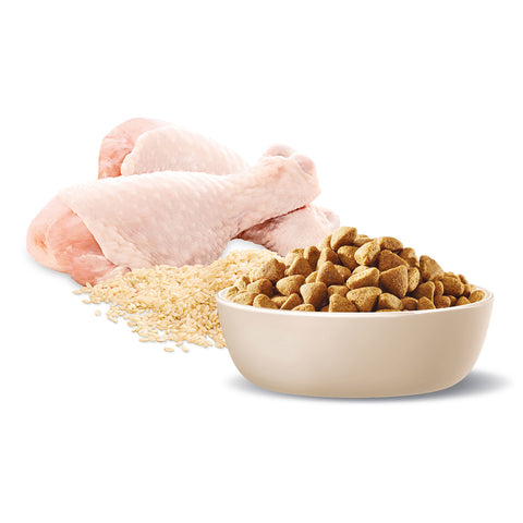 Advance Medium Breed Healthy Weight Chicken & Rice Adult Dry Dog Food 13kg
