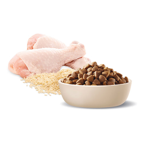Advance All Breed Active Chicken & Rice Adult Dry Dog Food 13kg