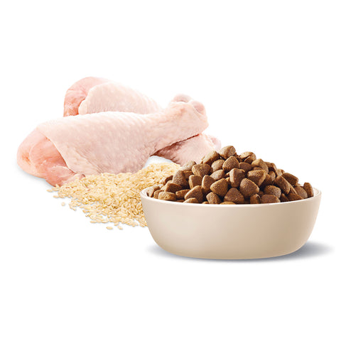 Advance Medium Breed Healthy Ageing Chicken & Rice Adult Dry Dog Food