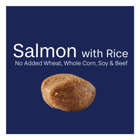 Advance Large Breed Oodles Salmon & Rice Adult Dry Dog Food 2.5kg
