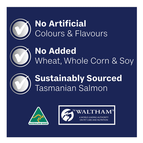 Advance Large Breed Oodles Salmon & Rice Adult Dry Dog Food 2.5kg
