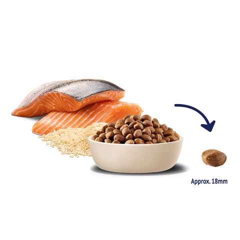 Advance Large Breed Oodles Salmon & Rice Adult Dry Dog Food 2.5kg