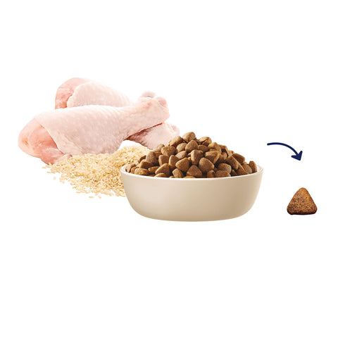 Advance Medium Chicken & Rice Breed Adult Dry Dog Food