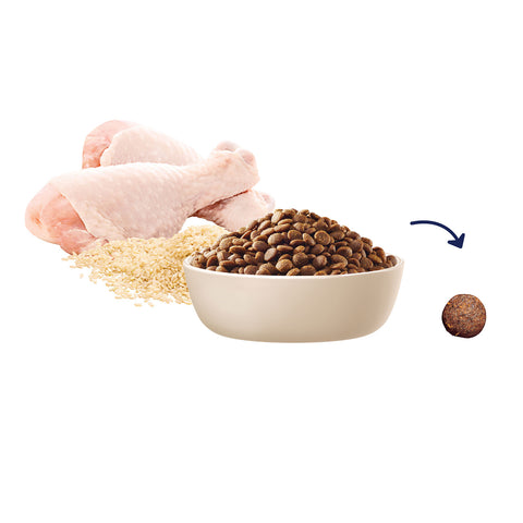 Advance Medium Breed Chicken & Rice Puppy Dry Dog Food