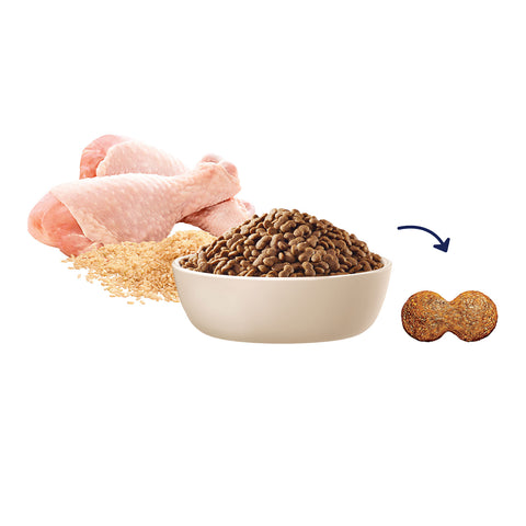 Advance Small Breed Chicken & Rice Adult Dry Dog Food
