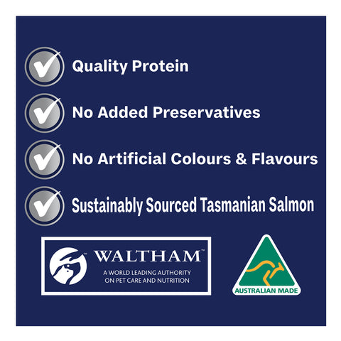 Advance Salmon Casserole Adult Wet Dog Food Tray