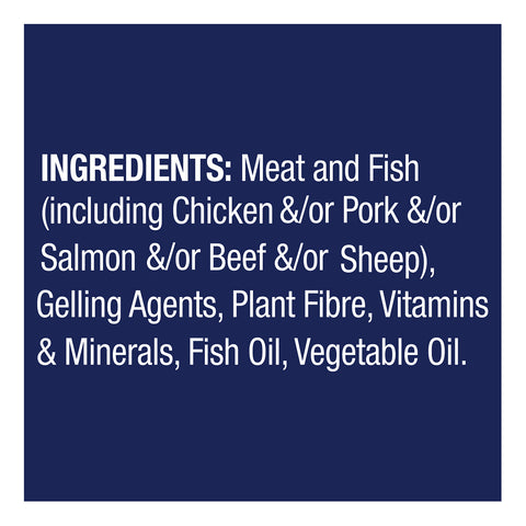 Advance Oodles Salmon Adult Wet Dog Food Tray