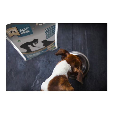 Meals for Mutts Large Kibble Salmon & Sardine Adult Dry Dog Food 20kg