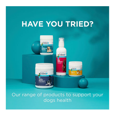 PAW Osteocare Joint Protect Medium & Large Dog Chews 300g 60pk