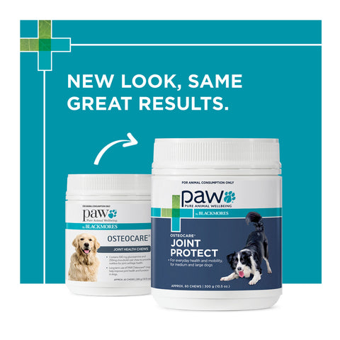 PAW Osteocare Joint Protect Medium & Large Dog Chews 300g 60pk