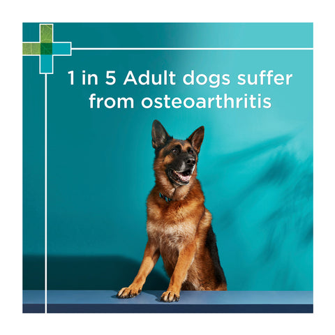 PAW Osteocare Joint Protect Medium & Large Dog Chews 300g 60pk
