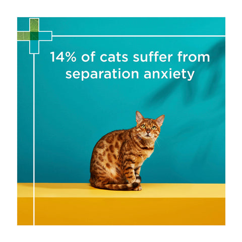 PAW Complete Calm Miultivitamin Cat Chews 75g 63pk