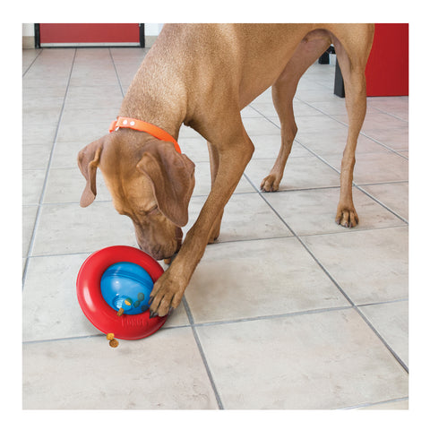 KONG Gyro Dog Toy