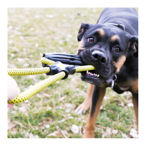 KONG Jaxx Infinity Tug Dog Toy Large