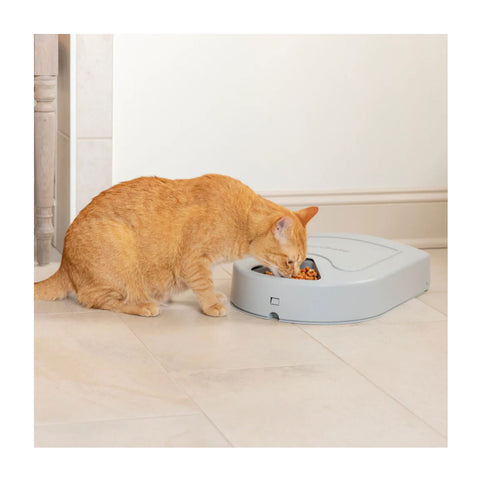 PetSafe Automatic 5 Meal Pet Feeder