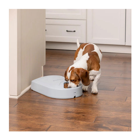 PetSafe Automatic 5 Meal Pet Feeder