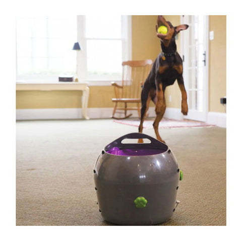 PetSafe Automatic Ball Launcher