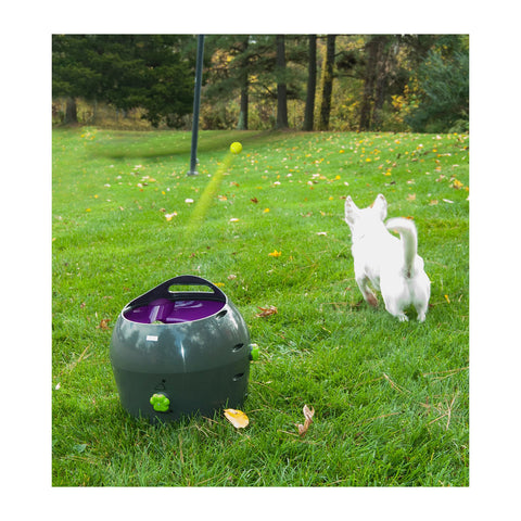 PetSafe Automatic Ball Launcher