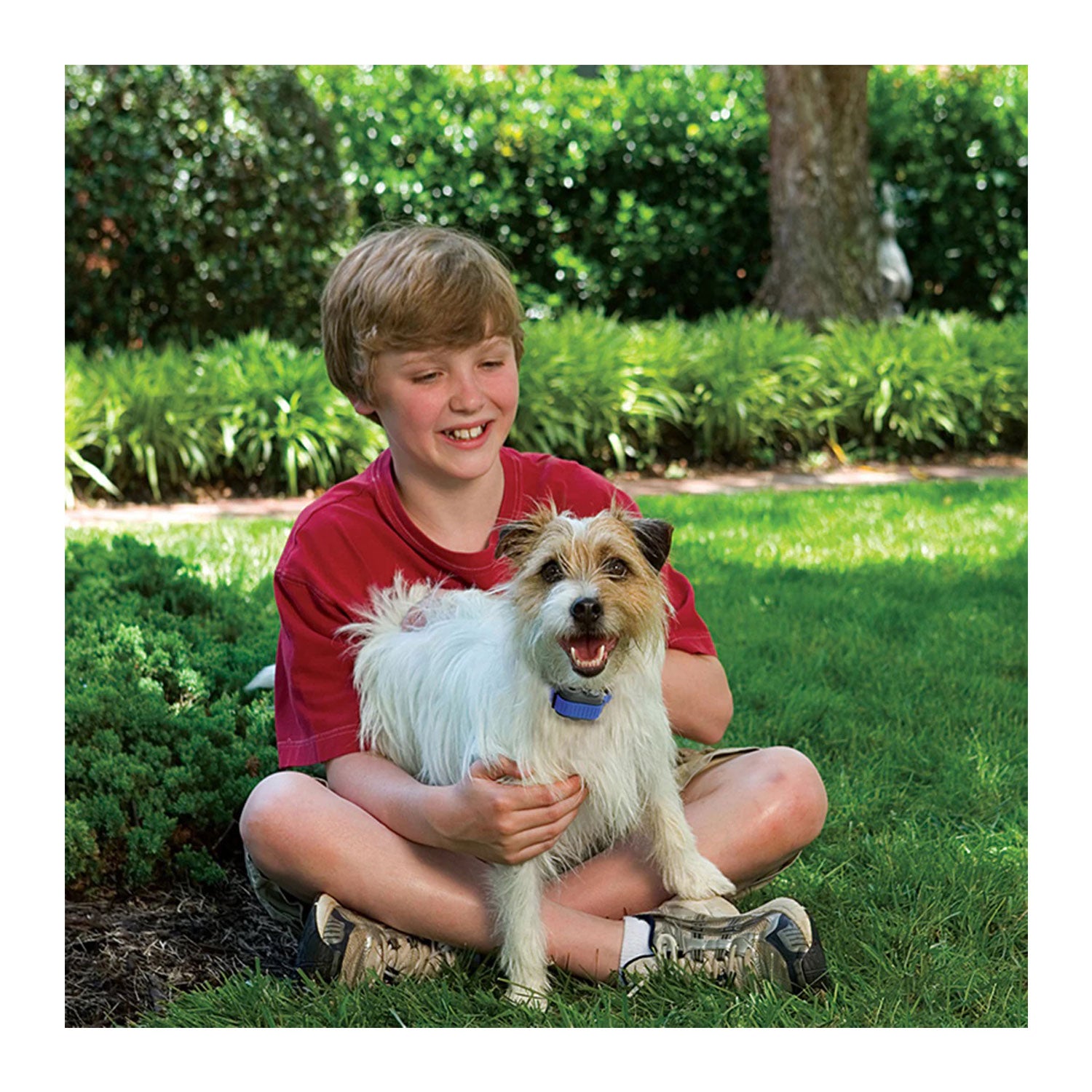 Petsafe elite little dog bark control hotsell