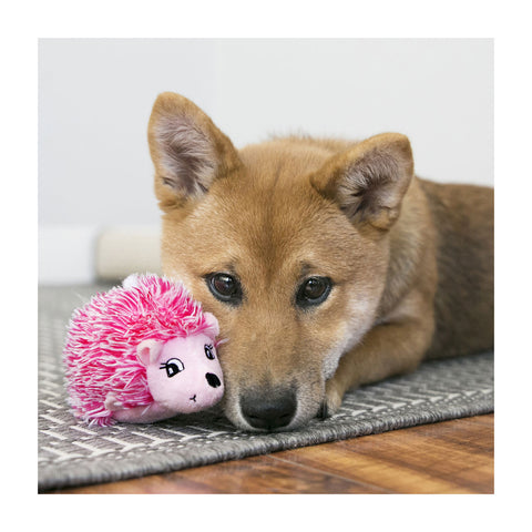 Kong Comfort Puppy Hedgehug Assorted Dog Toy