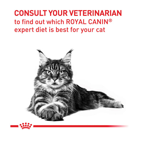 Royal Canin Veterinary Diet Dental Dry Cat Food