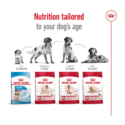 Royal Canin Medium Ageing 10+ Dry Dog Food 15kg
