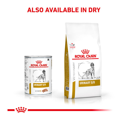 Royal Canin Veterinary Diet Urinary S/O Canned Dog Food 12x410g