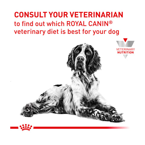 Royal Canin Veterinary Diet Urinary S/O Canned Dog Food 12x410g