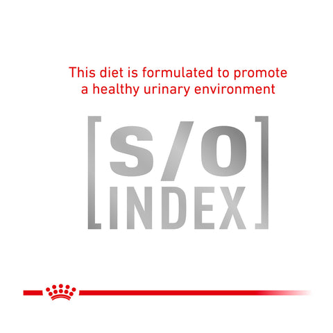 Royal Canin Veterinary Diet Urinary S/O Canned Dog Food 12x410g