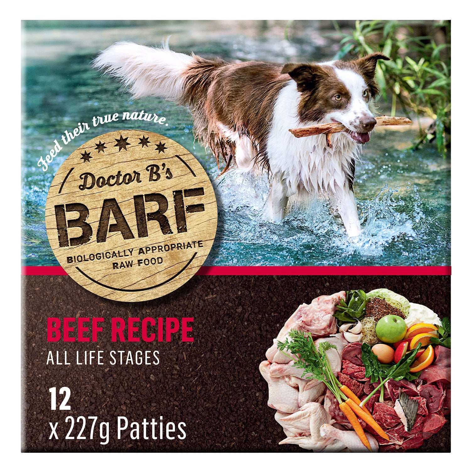 Doctor B's BARF Beef Raw Dog Food - Main Image