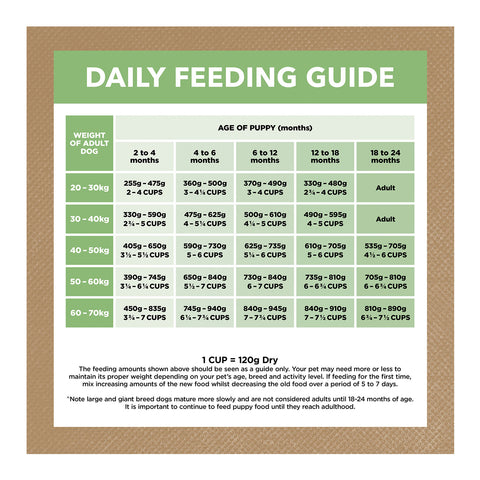 Ivory Coat Grain Free Large Breed Lamb Puppy Dry Dog Food 13kg