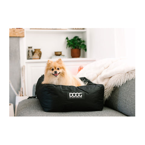 DOOG Car Seat