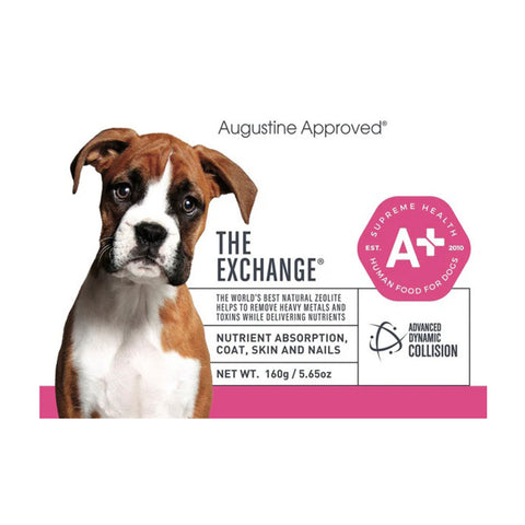 Augustine Approved The Exchange Canine
