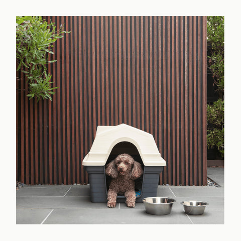 Superior Pet Goods Moulded Plastic Kennel