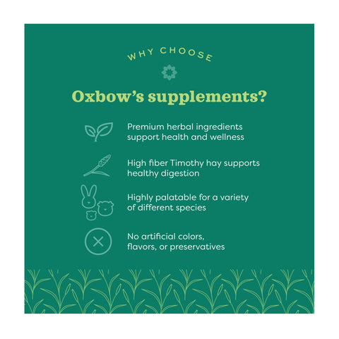 Oxbow Natural Science Vitamin C Support for Small Animals 120g