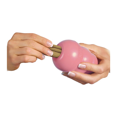 KONG Ziggies Puppy Dog Treat