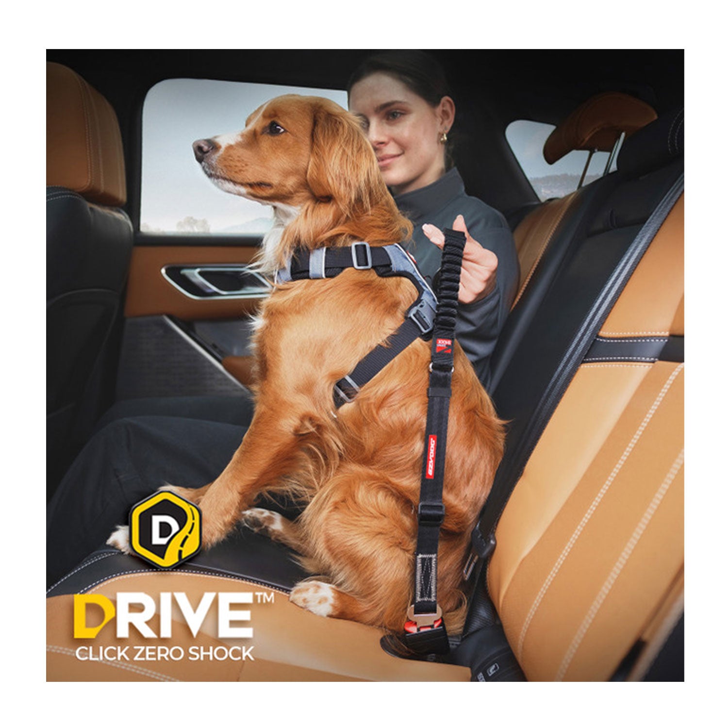 EzyDog Drive Click Zero Shock Car Restraint Black