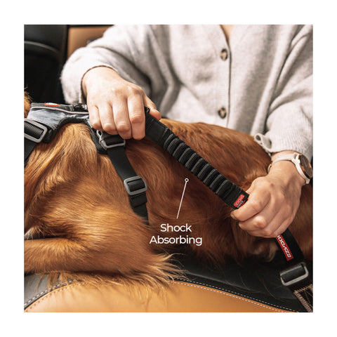 EzyDog Drive Click Zero Shock Car Restraint Black