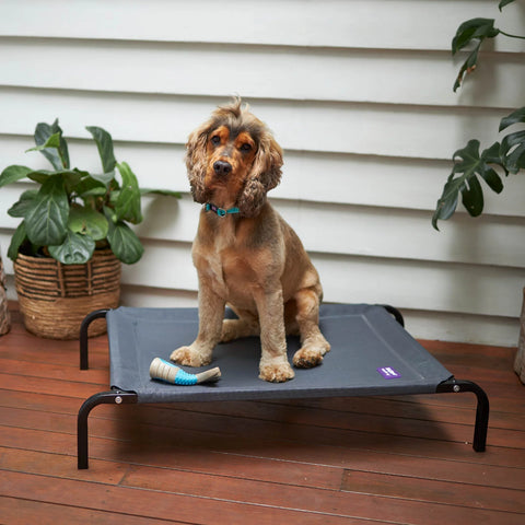 Kazoo Premium Outdoor Dog Bed Charcoal
