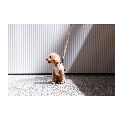 FuzzYard Life Soft Blush Dog Harness