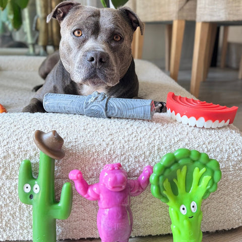 Happy Staffy Co Broccoli Crunch Dog Toy