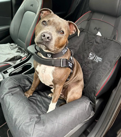 Happy Staffy Co Simple Car Seat Cover