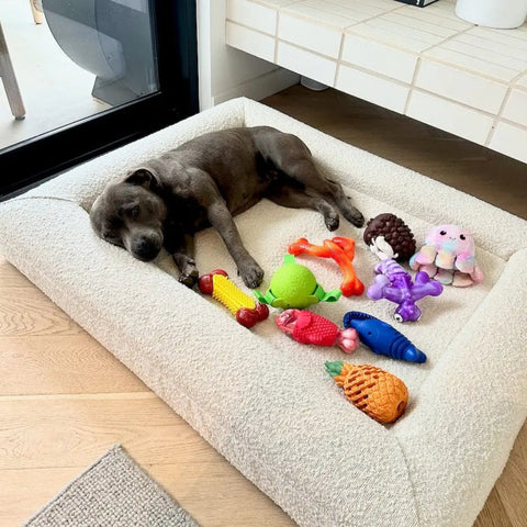 Happy Staffy Co Squeaky Fish Dog Toy