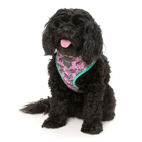 FuzzYard Fiesta Dog Harness