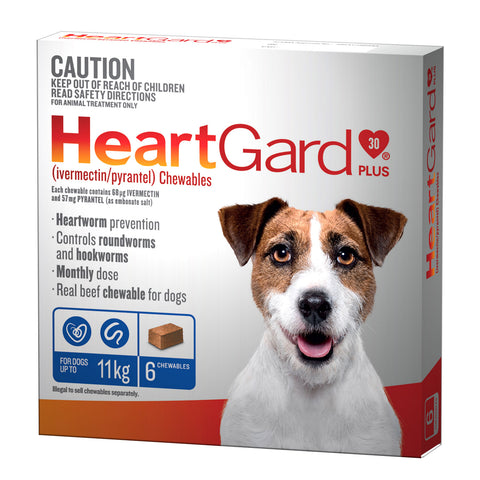 HeartGard Plus Heartworm Chews For Dogs 0-11kg Blue 6 Pack